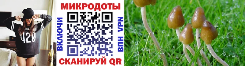 наркотики  Кимры  Галлюциногенные грибы ЛСД 